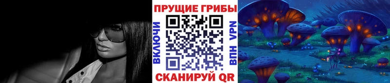 Галлюциногенные грибы Magic Shrooms  сколько стоит  Балашиха 